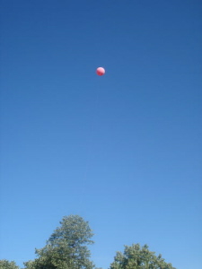 Balloon Vertical in Daylight